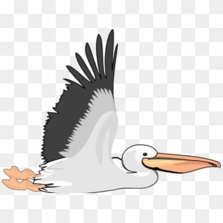 Flying Pelican Clip Art - Png Download