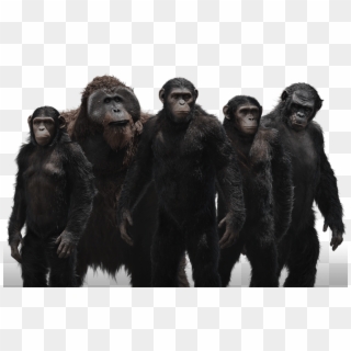 Ape Png - Planet Of The Apes Png Clipart