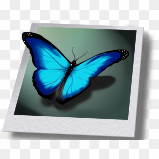 Life Is Strange Png - Butterfly From Life Is Strange Clipart