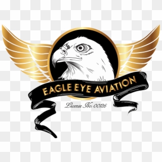 Eagle Eye Logo Png Clipart