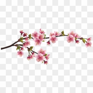 Vector Bunga Sakura Png Clipart