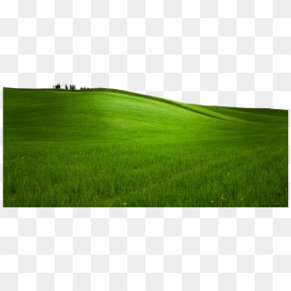 Hill Png Transparent Images Pluspng Green Grass - Grass Clipart