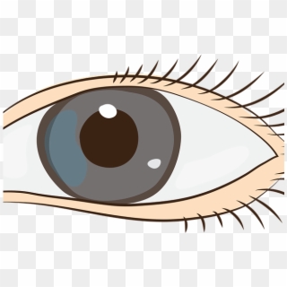 Brown Eyes Clipart Human Eye - Sight Clipart Png Transparent Png