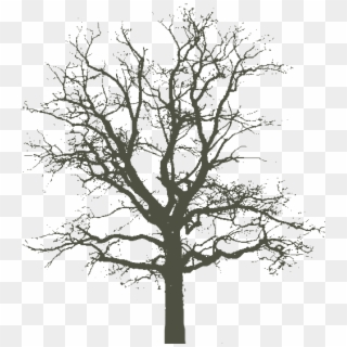 Best Photos Of Tree Cut Out Paper - Henry Fox Talbot Tree Clipart