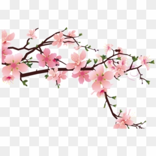 Drawn Cherry Blossom Strawberry - Peach Blossom Drawing Png Clipart