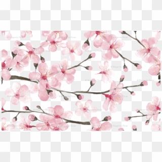 Cherry Blossom Watercolor // Cherry Blossom Floral - Watercolor Cherry Blossom Pattern Clipart