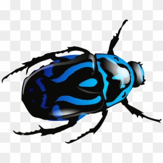 Blue Beetle Png Image - Shiny Bug Clipart