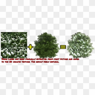 Snow Layer Has Been Extracted From First Picture And - River Birch Clipart