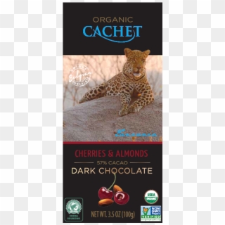 Cachet Tanaznia Single Origin Dark Chocolate With Cherries - Cachet Caramel And Sea Salt Clipart