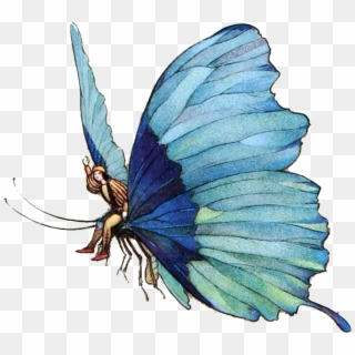 Fairy Tails At Charcon Confluence Meta Rpg - Butterfly Tails Clipart