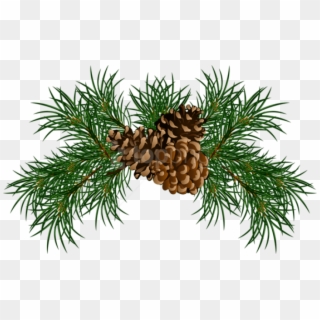 Free Png Pine Branches With Pine Cones Png Images Transparent - Pine Needle Clip Art