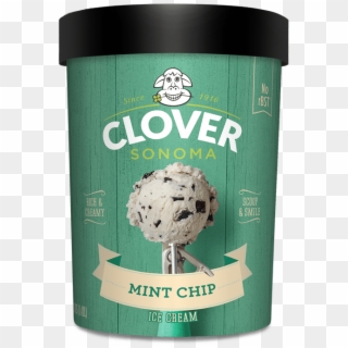 Mint Chocolate Chip Ice Cream - Ice Cream Clipart