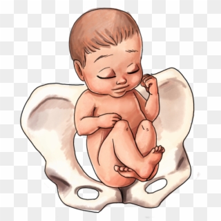 Breech Baby Position - Baby Hand Position In Womb Clipart