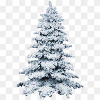 #ftestickers #winter #snow #tree - Sapin Enneigé Png Clipart