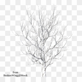 Pc Img, , Backgrounds Desk - Winter Snow Tree Png Clipart