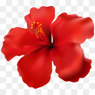 Hibiscus Red Transparent Png Clip Art Image