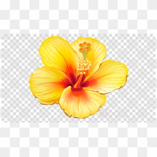 Tropical Flower Png Clipart Clip Art - Transparent Tropical Flower Clipart