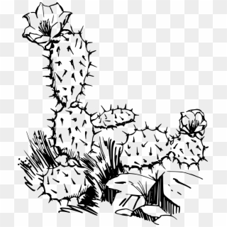 Big Image - Cactus Clipart Images Black And White - Png Download