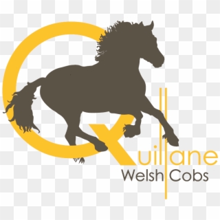 Quillane Welsh Cobs - Mane Clipart