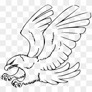Eagles Clipart Line - Hawk Drawing - Png Download