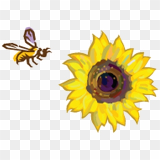 Sunflowers Clipart Bee - Bee And Sunflower Png Transparent Png