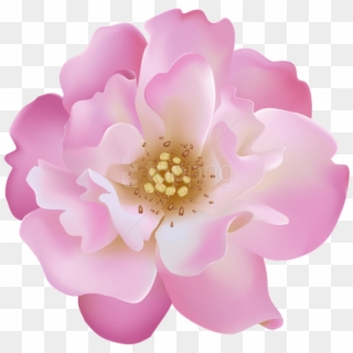 Free Png Download Pink Rosebush Flower Transparent - Artificial Flower Clipart