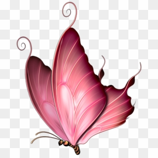 Butterfly Images Clip Art Butterfly 10 A A˜žo¥o¥a ‹a - Transparent Pink Butterfly Png
