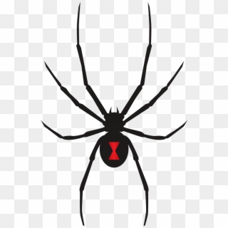Black Widow Spider Flat Clipart