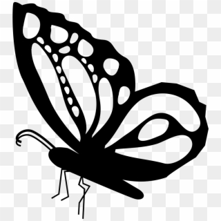 889 X 980 8 - Butterfly Side View Png Clipart