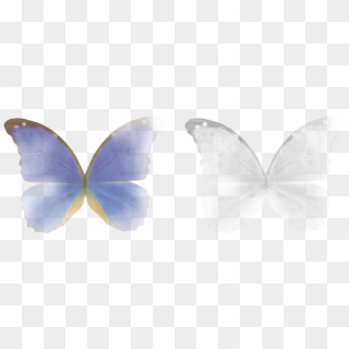 #fairy #butterfly #wings #magic #stickers #transparent - Butterfly Wings Overlays Png Clipart