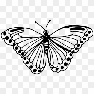 Transparent Butterfly Images - Butterfly Drawing Clipart