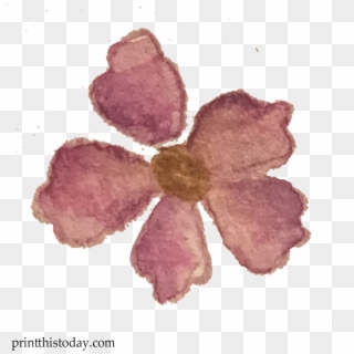 Watercolor Flower - Mayflower Clipart