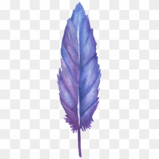 1024 X 2736 5 - Blue And Purple Feather Clipart