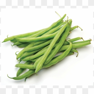 Green Beans White Background Clipart