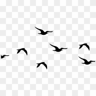 Flying Birds Silhouette Png Clipart