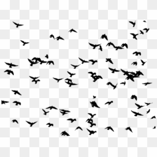 Migration Clipart Flock Seagulls - Flock Of Birds Png Transparent Png