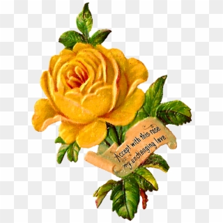 Yellow Rose Clip Art - Floribunda - Png Download