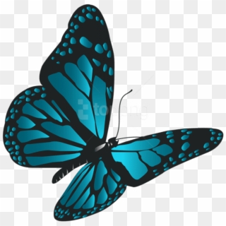 Free Png Download Blue Butterfly Png Clipart Png Photo - Transparent Blue Butterfly Png