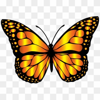 Monarch Butterfly Clipart Monarch Butterfly Clipart - Png Download