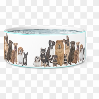 The 12 Dogs Bowl - Fun Dog Show Clipart