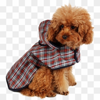 Plaid Dog Raincoat - Dog Rain Poncho Clipart
