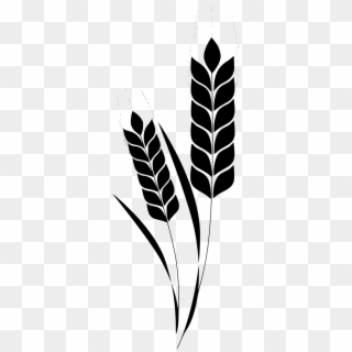 Vector Library Stock Corn Plant Wheat Stem Free Image - Экспорт Пшеницы По Странам Clipart