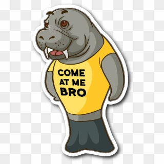 Manatee Come At Me Bro Commercial Novelty Sticker Car - Cartoon Clipart