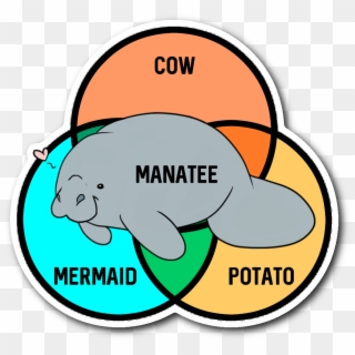 What Even Are Manatees Sticker Clipart