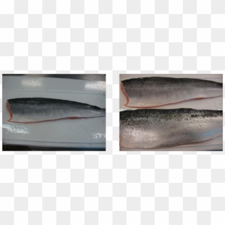 Descaled - Salmon Scaled Vs Descaled Clipart