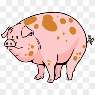 Thumb Image - Cartoon Pig Transparent Clipart
