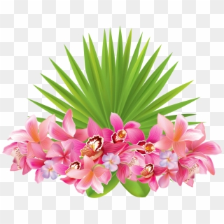 Flower Clipart Image - Tropical Flowers Transparent Background - Png Download