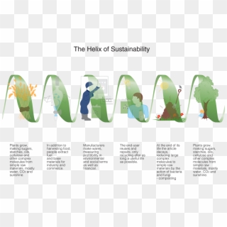 Helix Of Sustainability - Sustainable Graphic Design Packaging Clipart