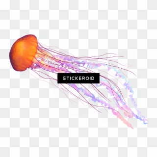 Jellyfish Tentacles Png , Png Download Clipart