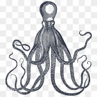 Dan Hillier, A London Based Artist Responsible For - Octopus Vintage Engraving Clipart